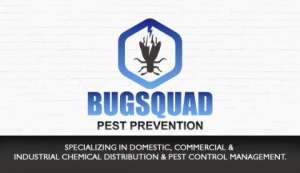 Bugsquad Pest Control - Pretoria