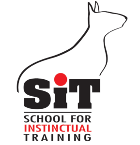 SiT School Dog Training & Puppy Classes - Pretoria