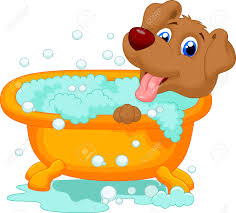 Wollies Doggy Parlour - Pretoria North